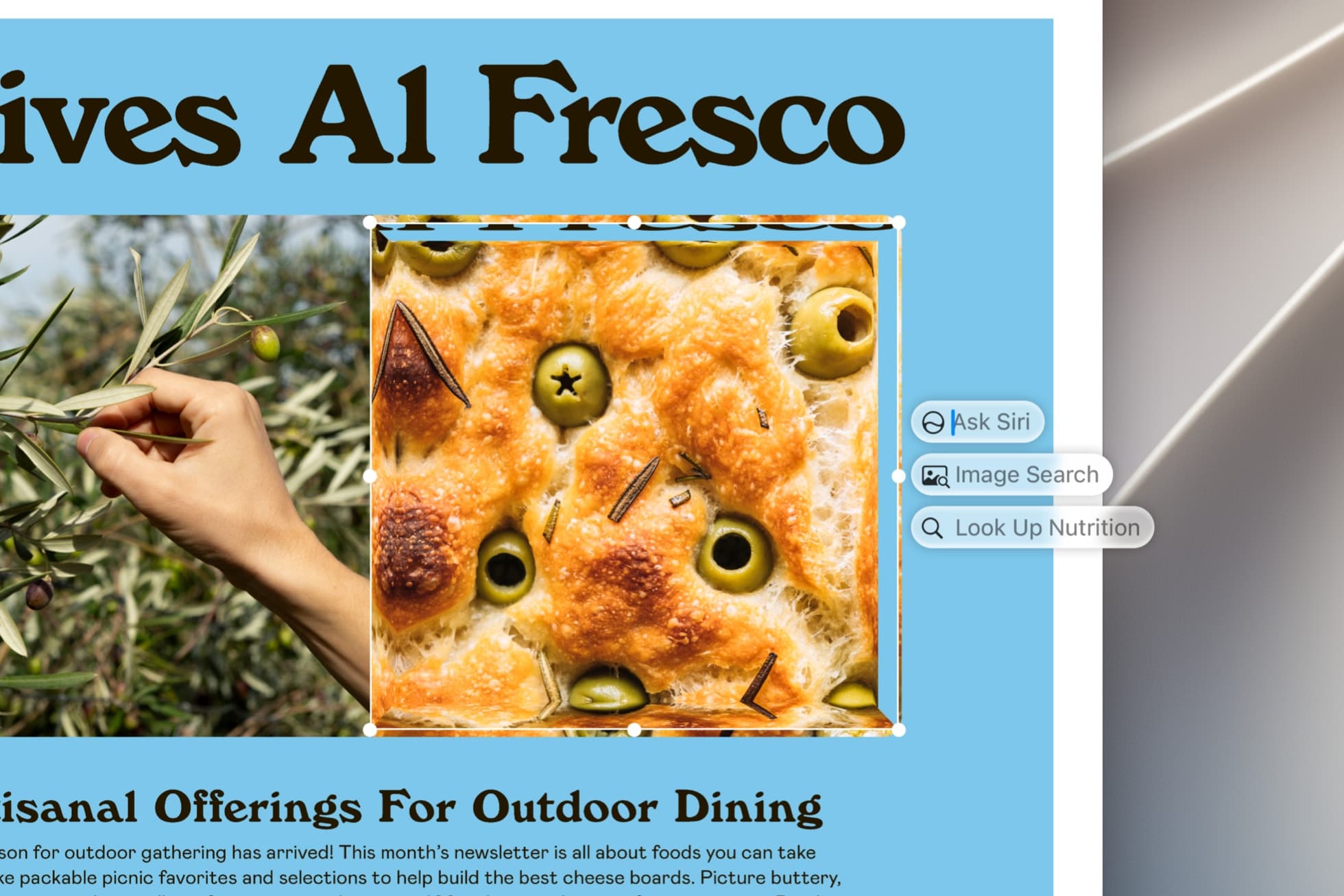 Visual Intelligence with Siri on the Mac, with Ask Siri, Image Search, and Look Up Nutrition actions on a selected image Visual Intelligence with Siri on the Mac, with Ask Siri, Image Search, and Look Up Nutrition actions on a selected image